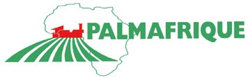 palm afrique